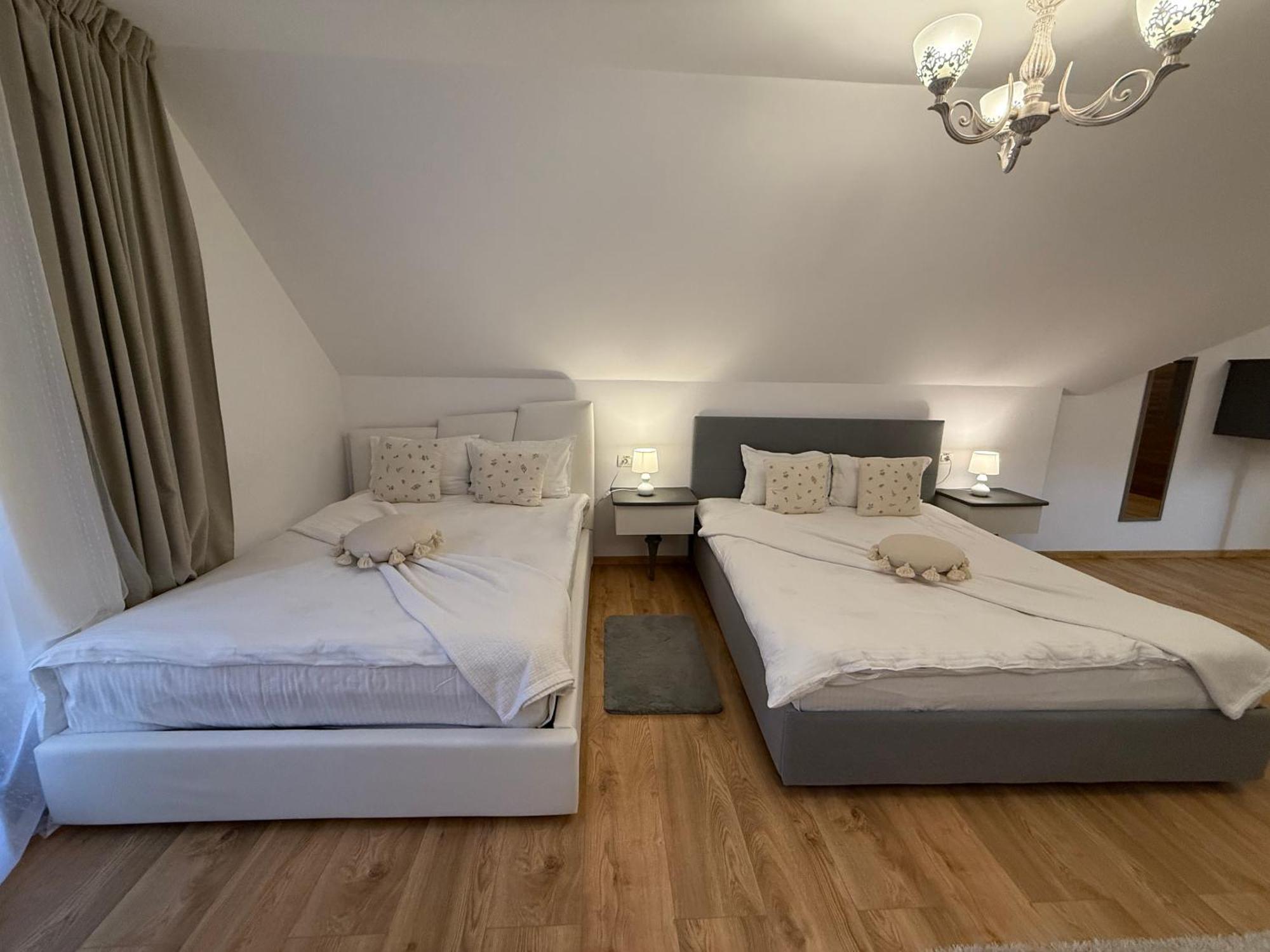 Hotel Conacul Radacinilor à Petroşani Extérieur photo