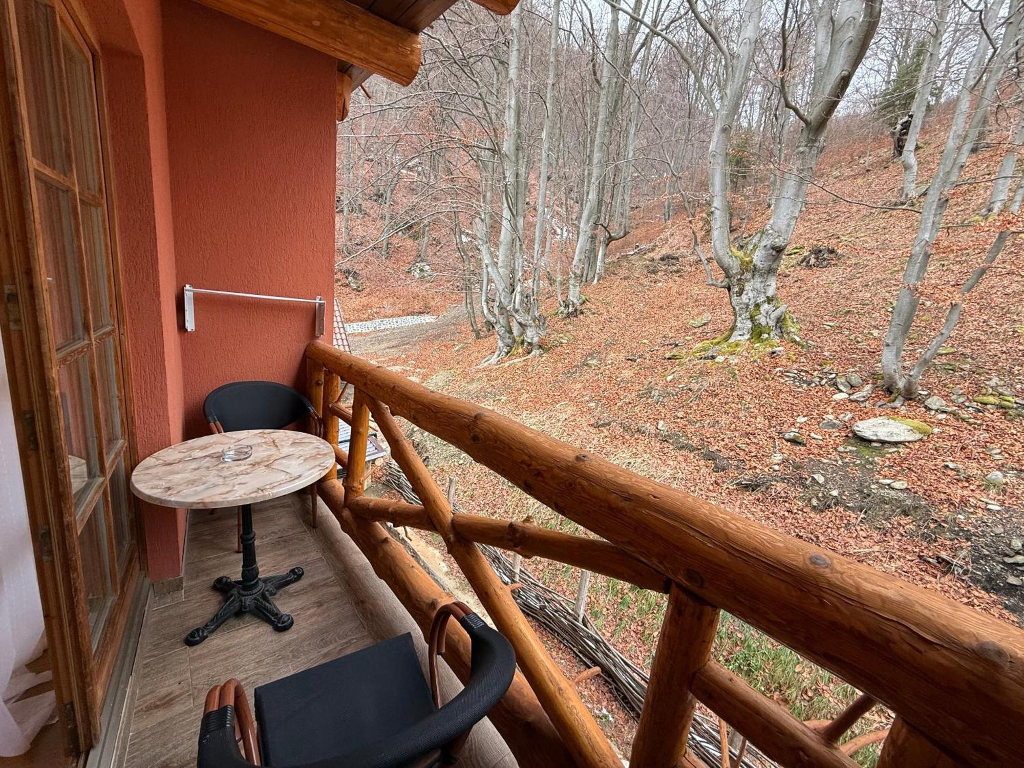 Hotel Conacul Radacinilor à Petroşani Extérieur photo