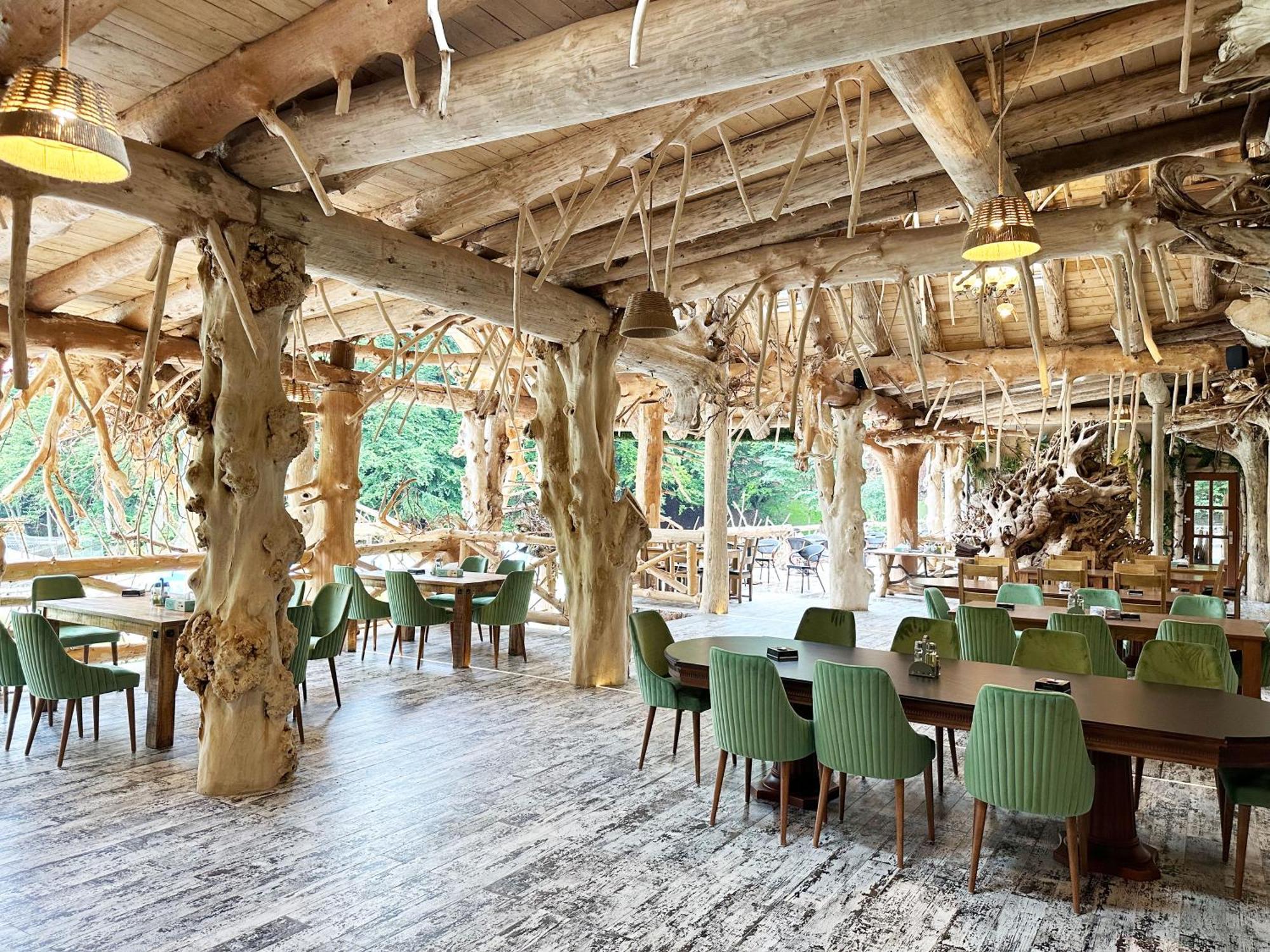 Hotel Conacul Radacinilor à Petroşani Extérieur photo